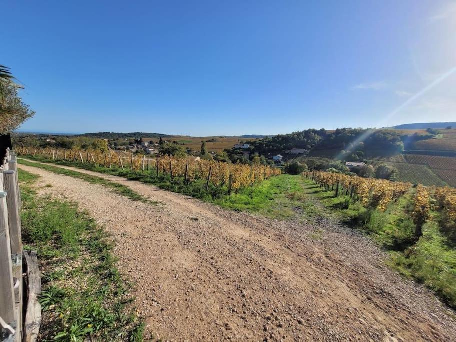Petite Maison Au Coeur Des Vignes Davaye
